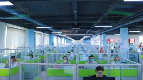 點贊金山 集聚萬企，網絡技術服務輻射全國，援疆行動展現擔當